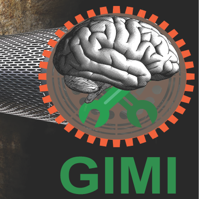 GIMI Logo